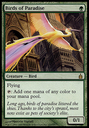 Birds of Paradise | Ravnica