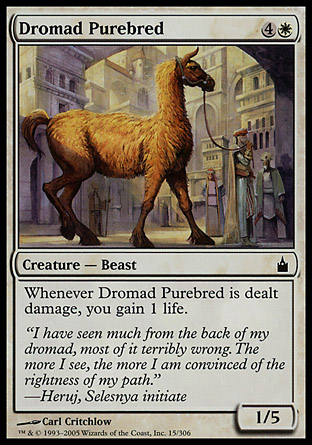 Dromad Purebred | Ravnica