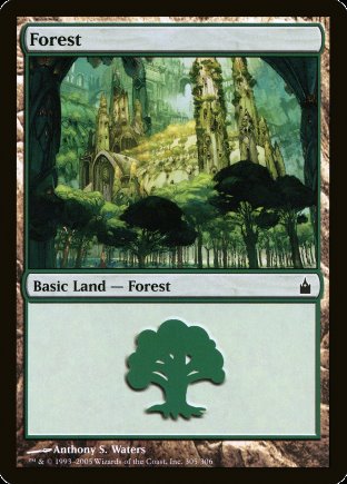 Forest | Ravnica