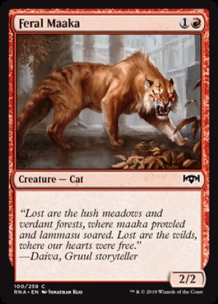 Feral Maaka | Ravnica Allegiance