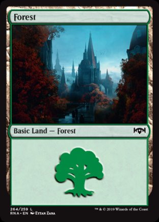 Forest | Ravnica Allegiance