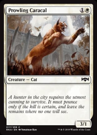 Prowling Caracal | Ravnica Allegiance