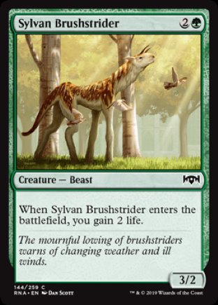 Sylvan Brushstrider | Ravnica Allegiance