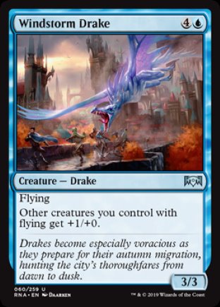 Windstorm Drake | Ravnica Allegiance