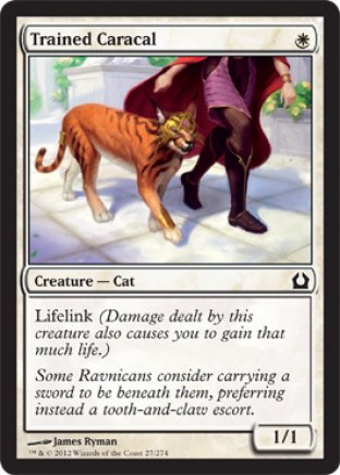 Trained Caracal | Return to Ravnica