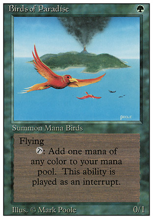 Birds of Paradise | Revised