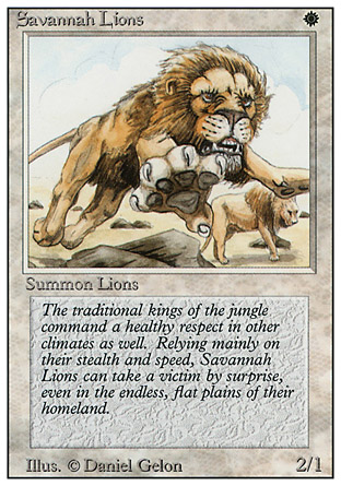 Savannah Lions | Revised
