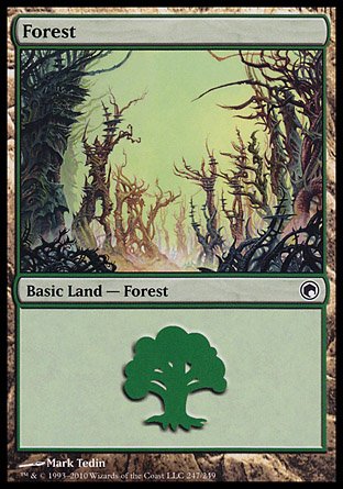 Forest | Scars of Mirrodin