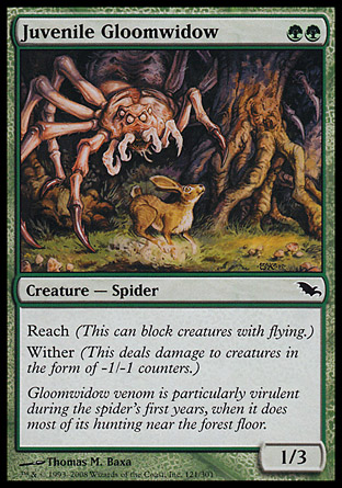 Juvenile Gloomwidow | Shadowmoor