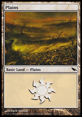 Plains | Shadowmoor