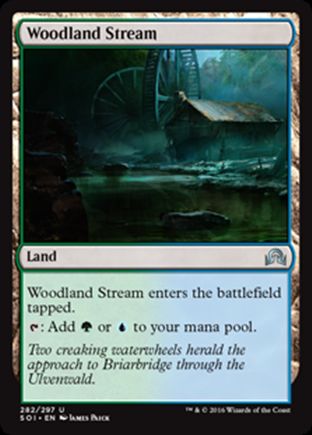 Woodland Stream | Shadows over Innistrad