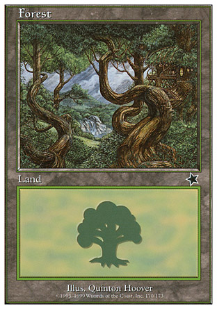 Forest | Starter 1999
