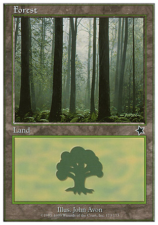 Forest | Starter 1999