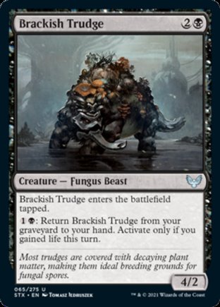 Brackish Trudge | Strixhaven