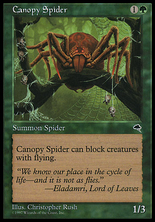 Canopy Spider | Tempest