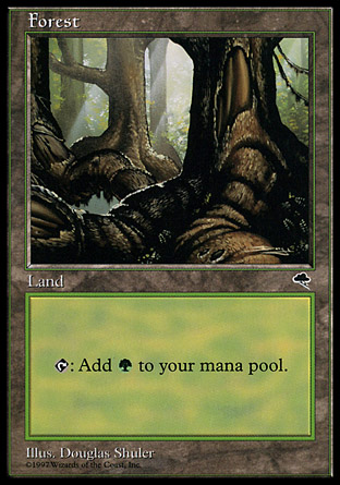 Forest | Tempest