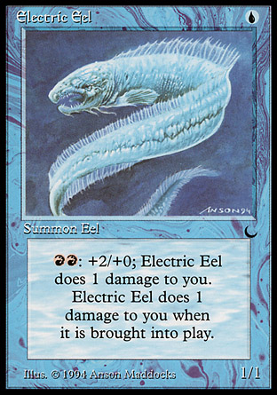 Electric Eel | The Dark