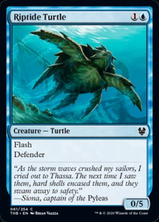 Riptide Turtle | Theros Beyond Death