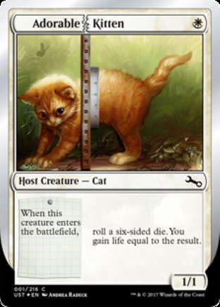 Adorable Kitten | Unstable