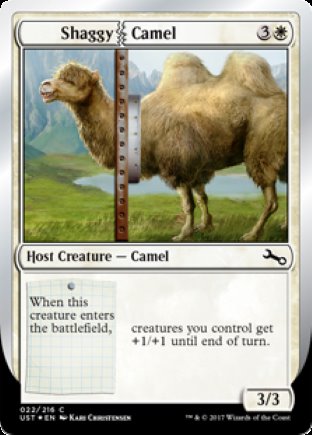 Shaggy Camel | Unstable