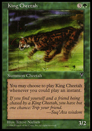 King Cheetah | Visions