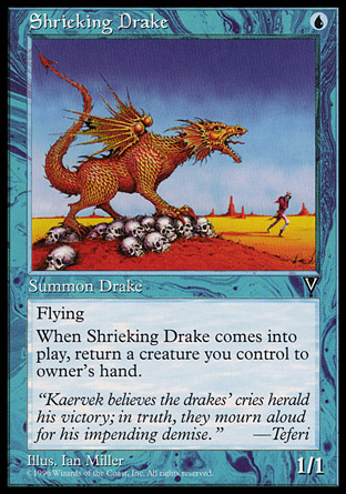 Shrieking Drake | Visions