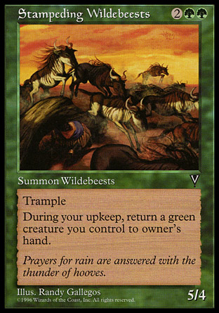 Stampeding Wildebeests | Visions