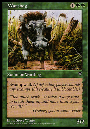 Warthog | Visions