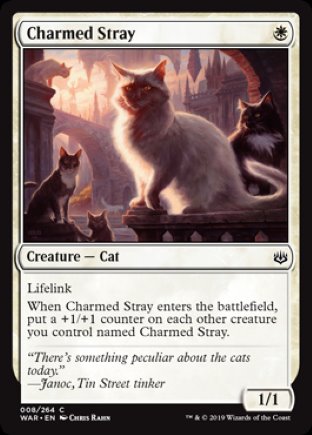 Charmed Stray | War of the Spark