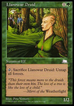 Llanowar Druid | Weatherlight