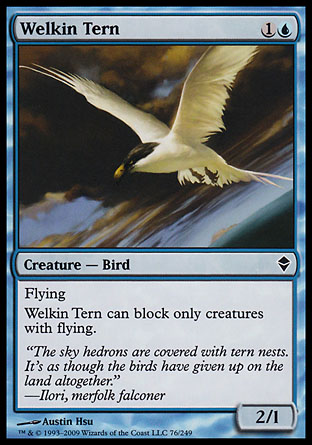 Welkin Tern | Zendikar