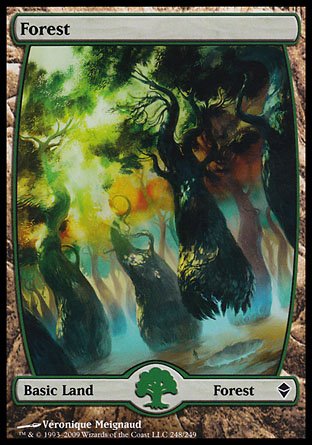 Forest | Zendikar