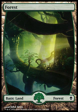 Forest | Zendikar