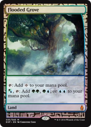 Flooded Grove | Zendikar Expeditions