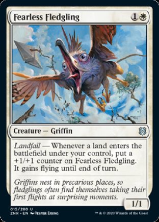 Fearless Fledgling | Zendikar Rising