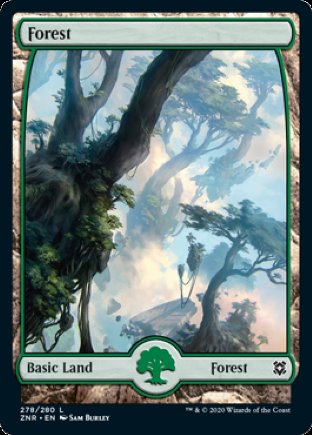 Forest | Zendikar Rising