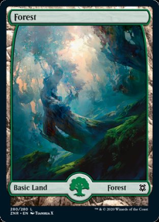 Forest | Zendikar Rising