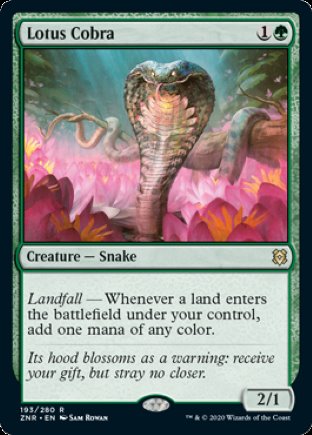 Lotus Cobra | Zendikar Rising