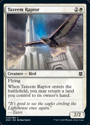 Tazeem Raptor | Zendikar Rising