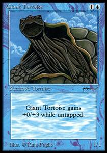 Giant Tortoise