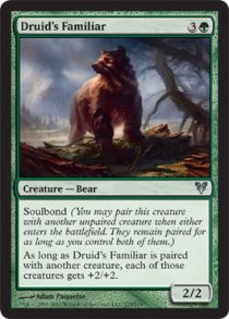 Druid’s Familiar