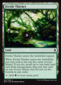 Fertile Thicket