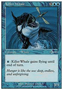 Killer Whale