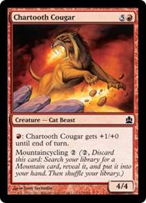 Chartooth Cougar