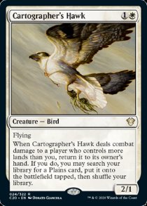 Cartographer’s Hawk