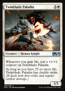 Twinblade Paladin