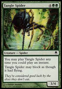 Tangle Spider