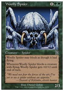 Woolly Spider