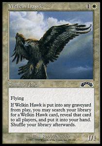 Welkin Hawk