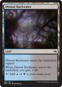 Dismal Backwater